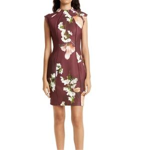 NWOT Ted Baker London Zassha Floral Sheath Dress